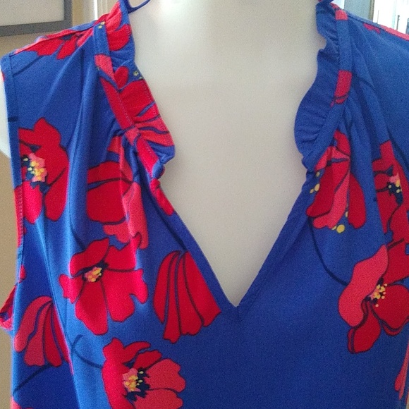 Market and Spruce Jeanie Ruffle Blue Red Poppy Sleeveless Mini Dress Size Medium - Picture 2 of 9
